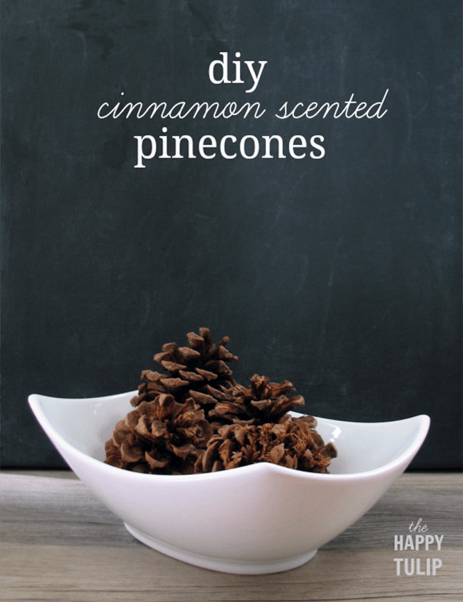 diy cinnamon scented pine cones