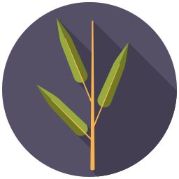 eco-friendly-bamboo